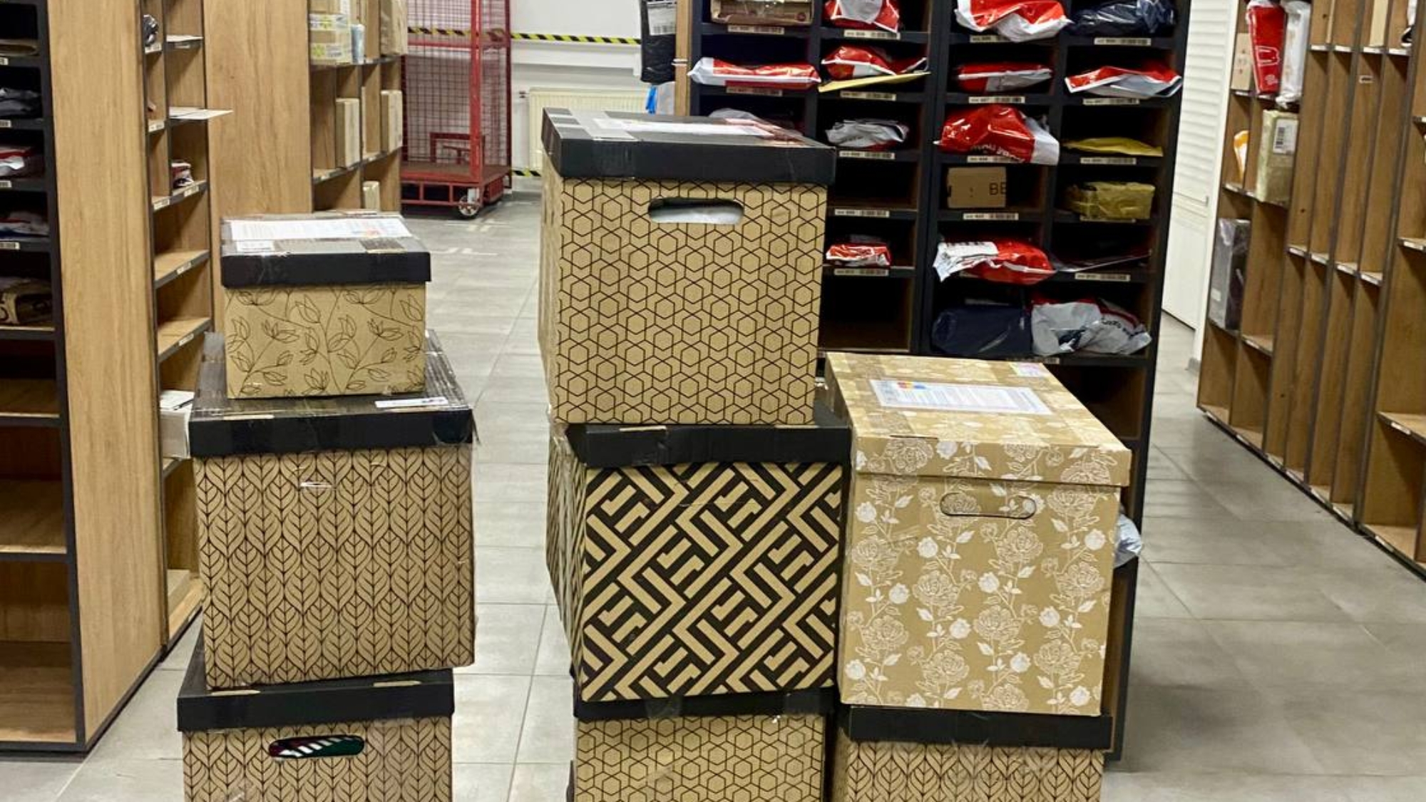 photo_2025-01-27_19-39-35